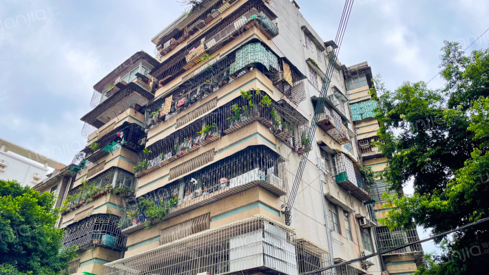 成凤里37号外景图