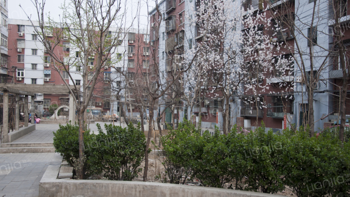 和义东里四区外景图