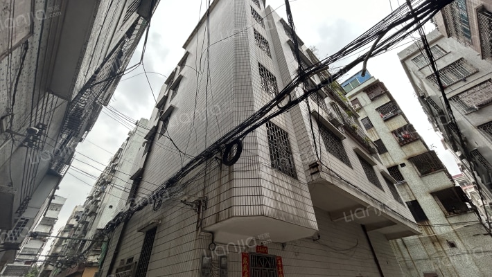 新湖一路外景图