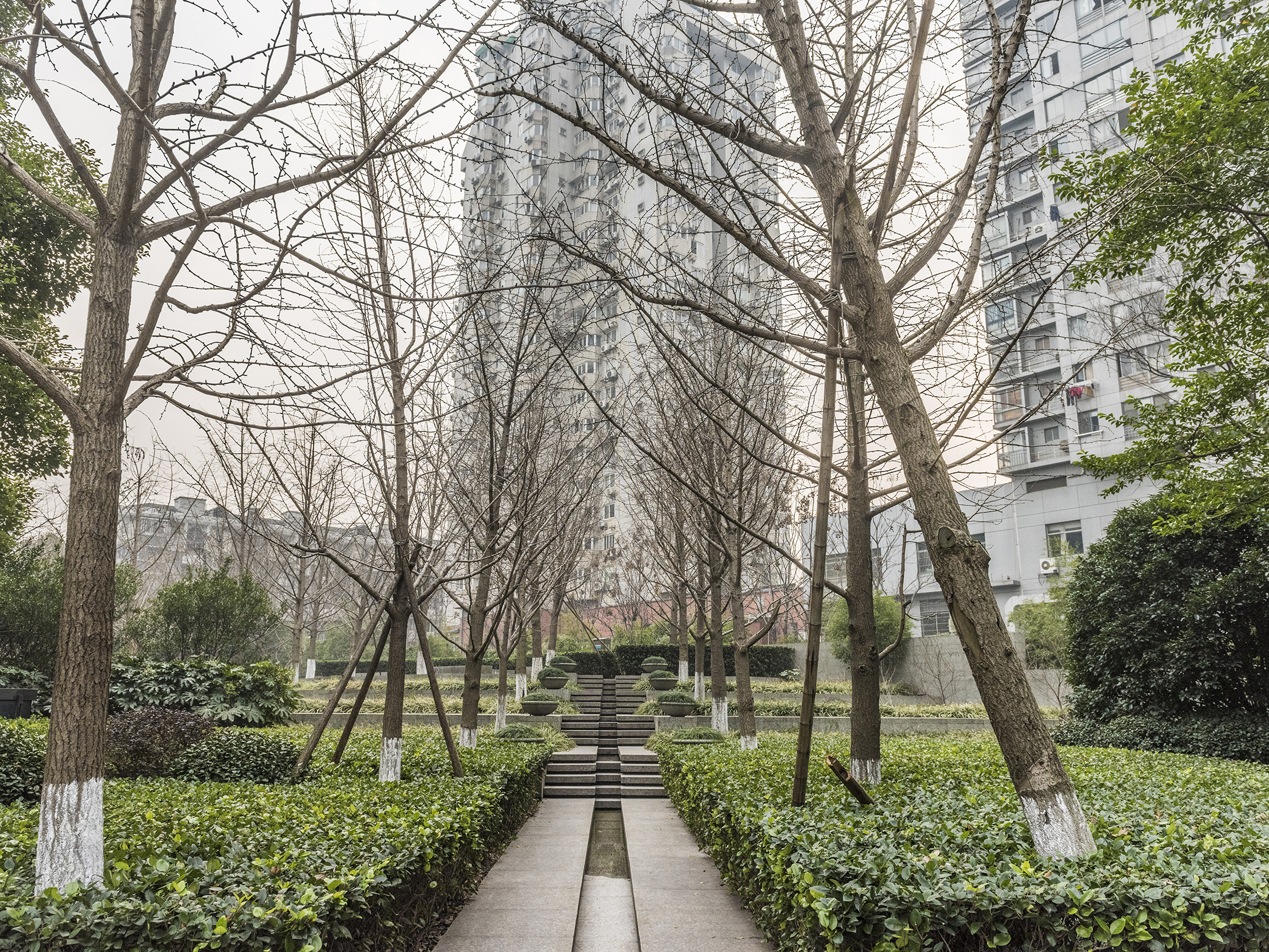 Jindu Matrix compound photo 12
