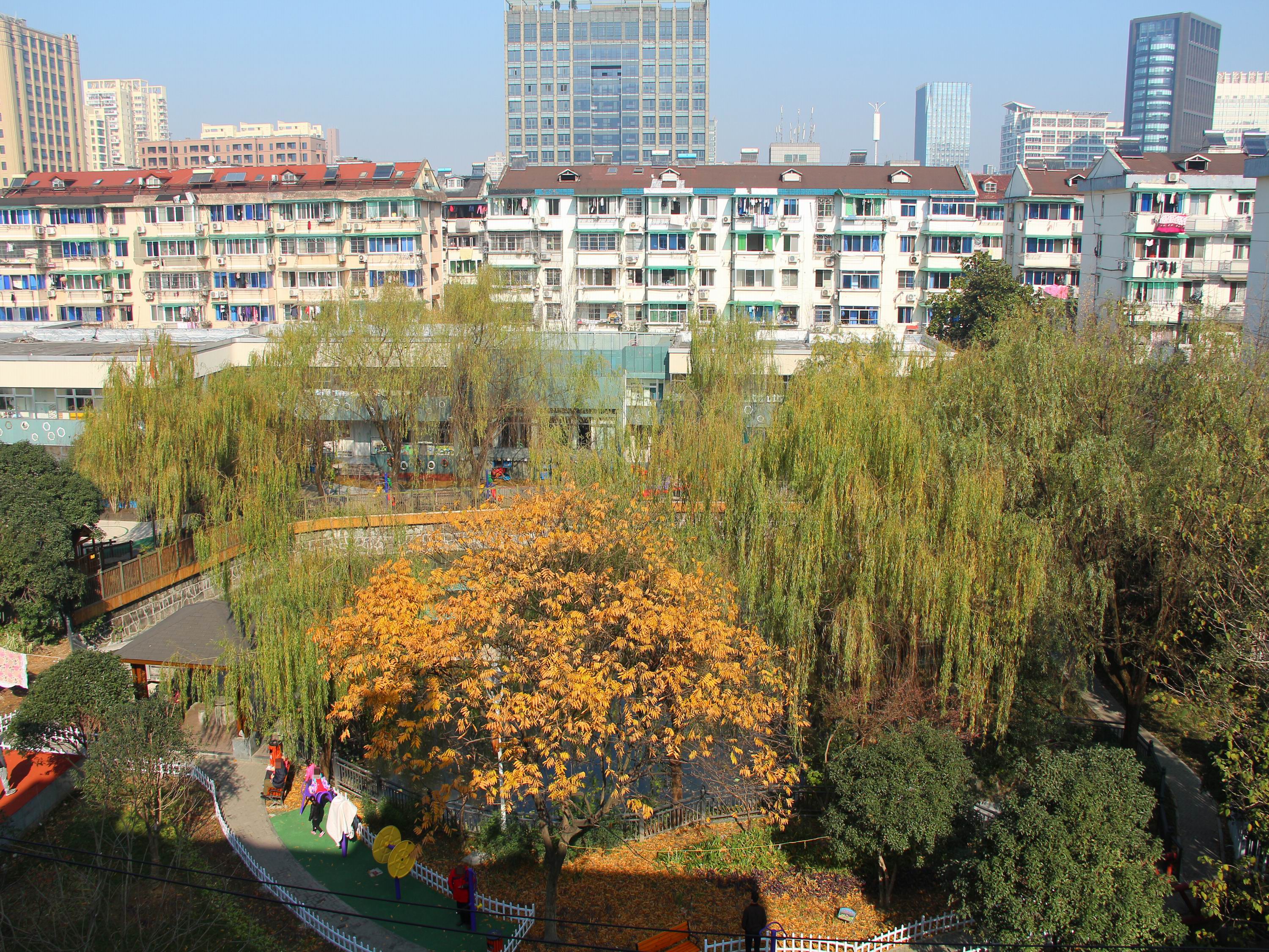 古荡新村东区小区实景 14