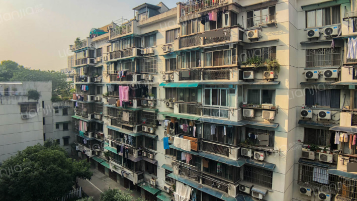 三塘竹园外景图