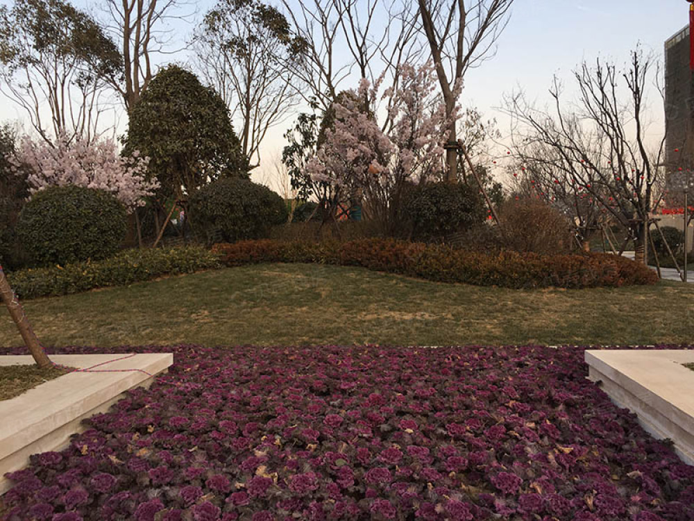 谦祥世茂万华城实景图