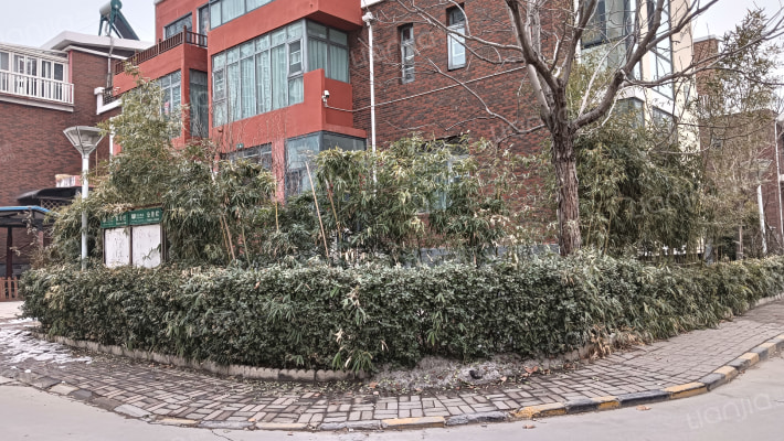 太阳城花园洋房外景图