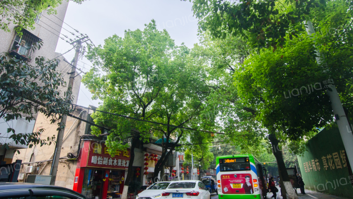 文兴路43号外景图