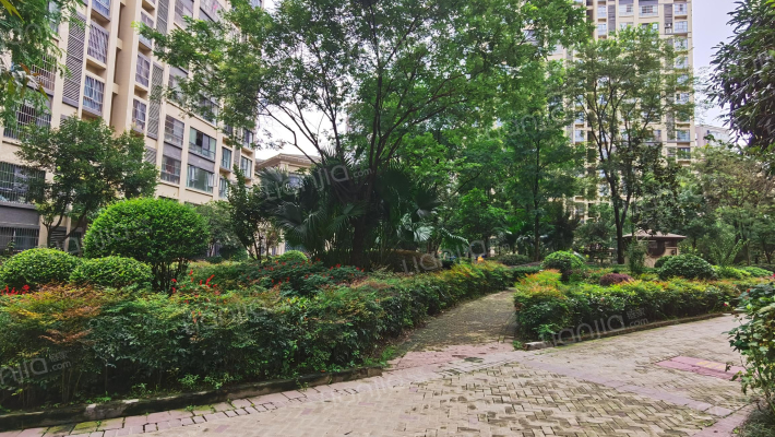 光华馨庭外景图