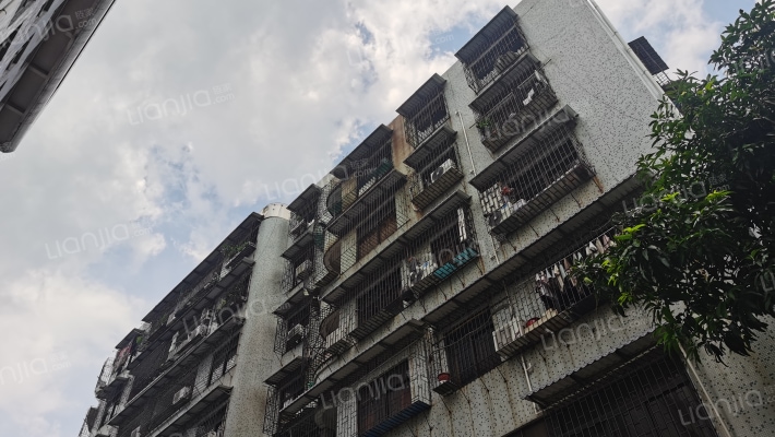 新中路6号外景图