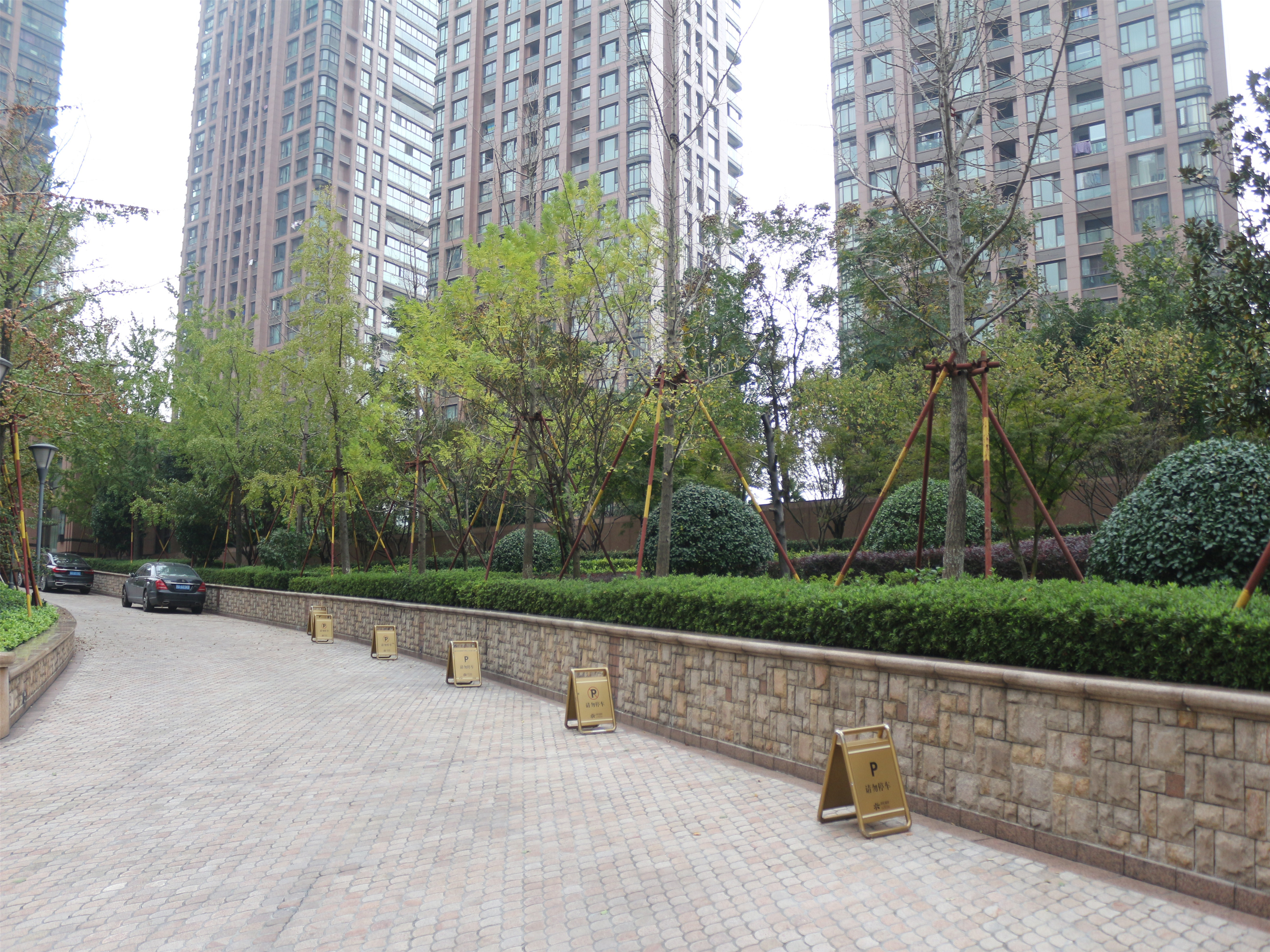 Rainbow Luxury compound photo 19
