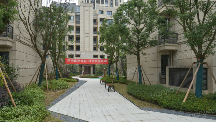 鲁能泰山7号七街区外景图