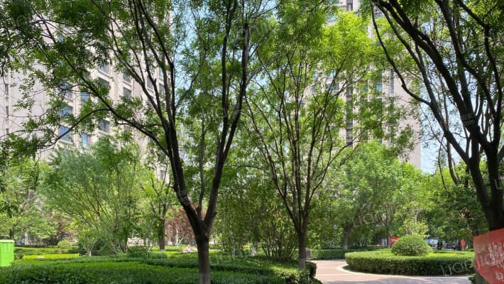 海河大观外景图