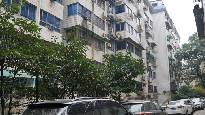 泰时花园外景图