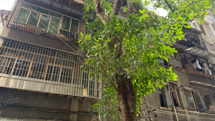 望江路坡外景图