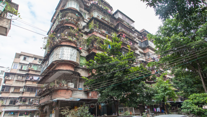 鱼木小区外景图