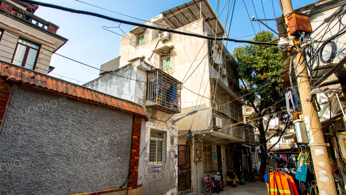 梧桐埕巷外景图