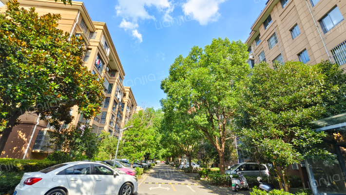 格林悦城花园外景图