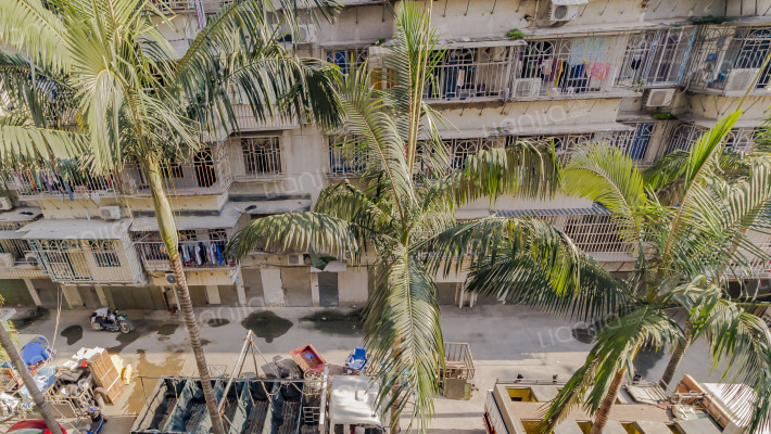 连凤小区外景图