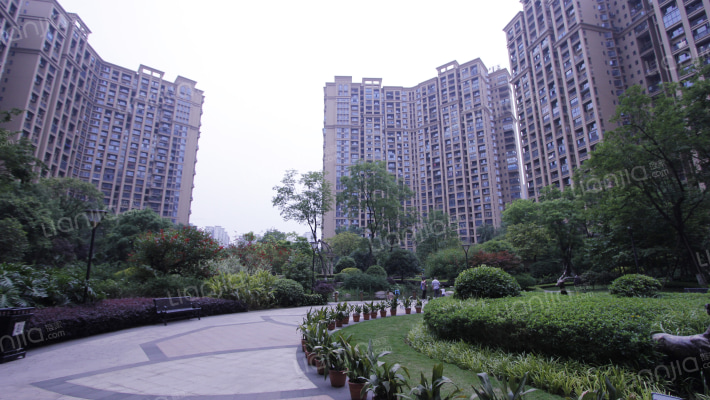 建发天府鹭洲外景图