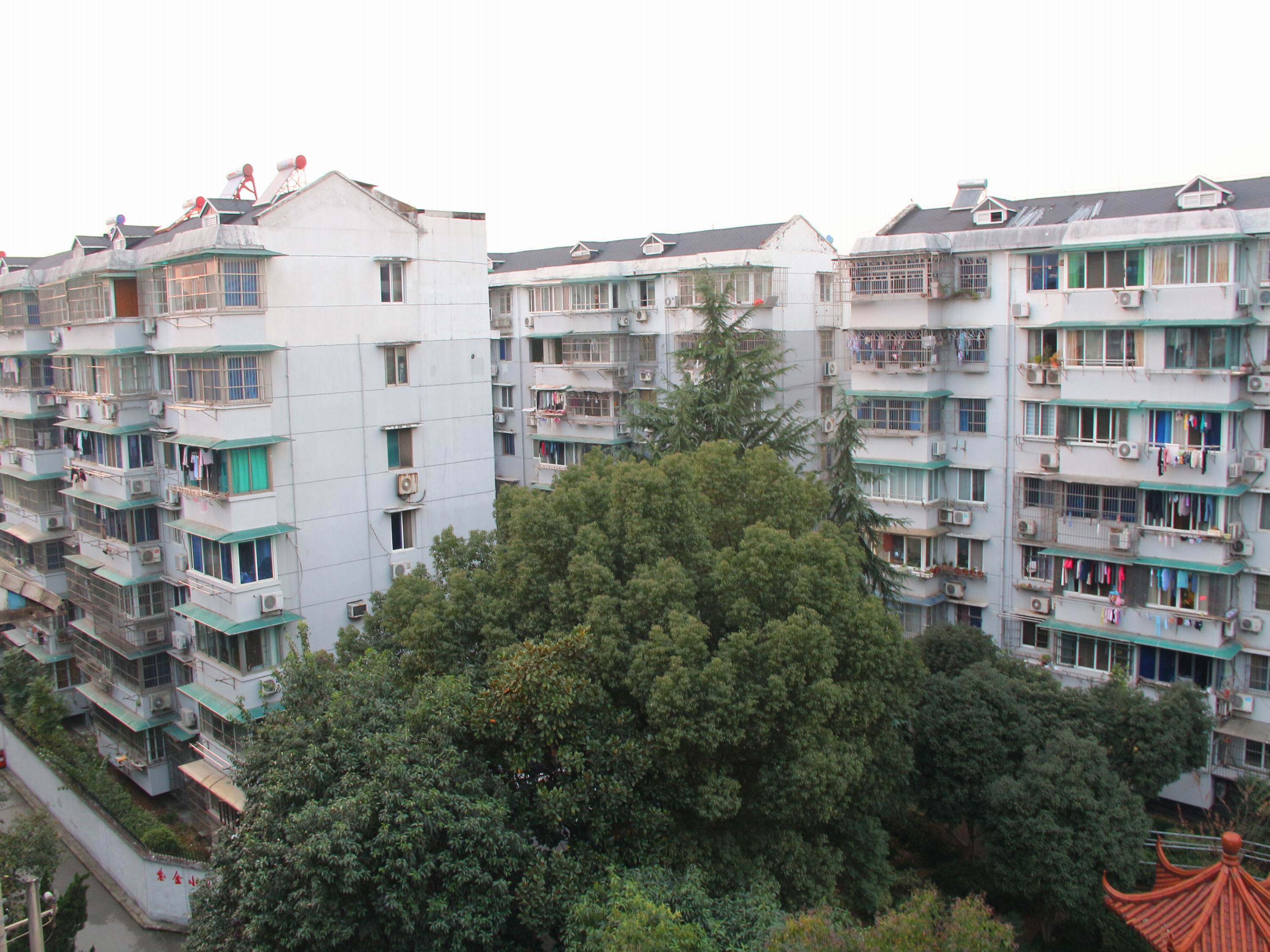 Zi Jin Compound compound photo 3