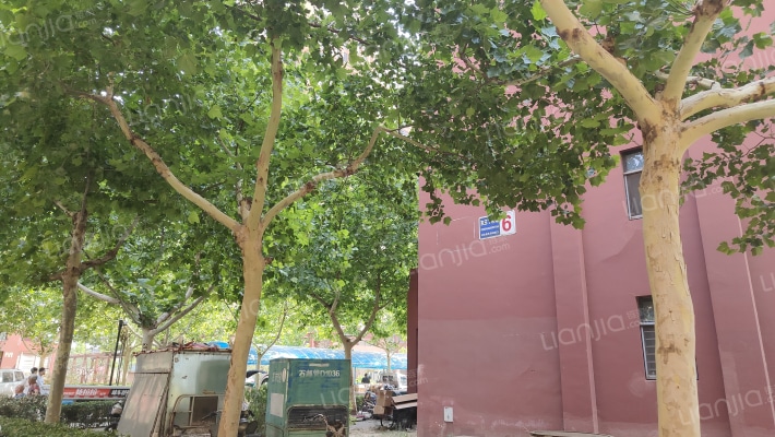 东王丁科苑外景图