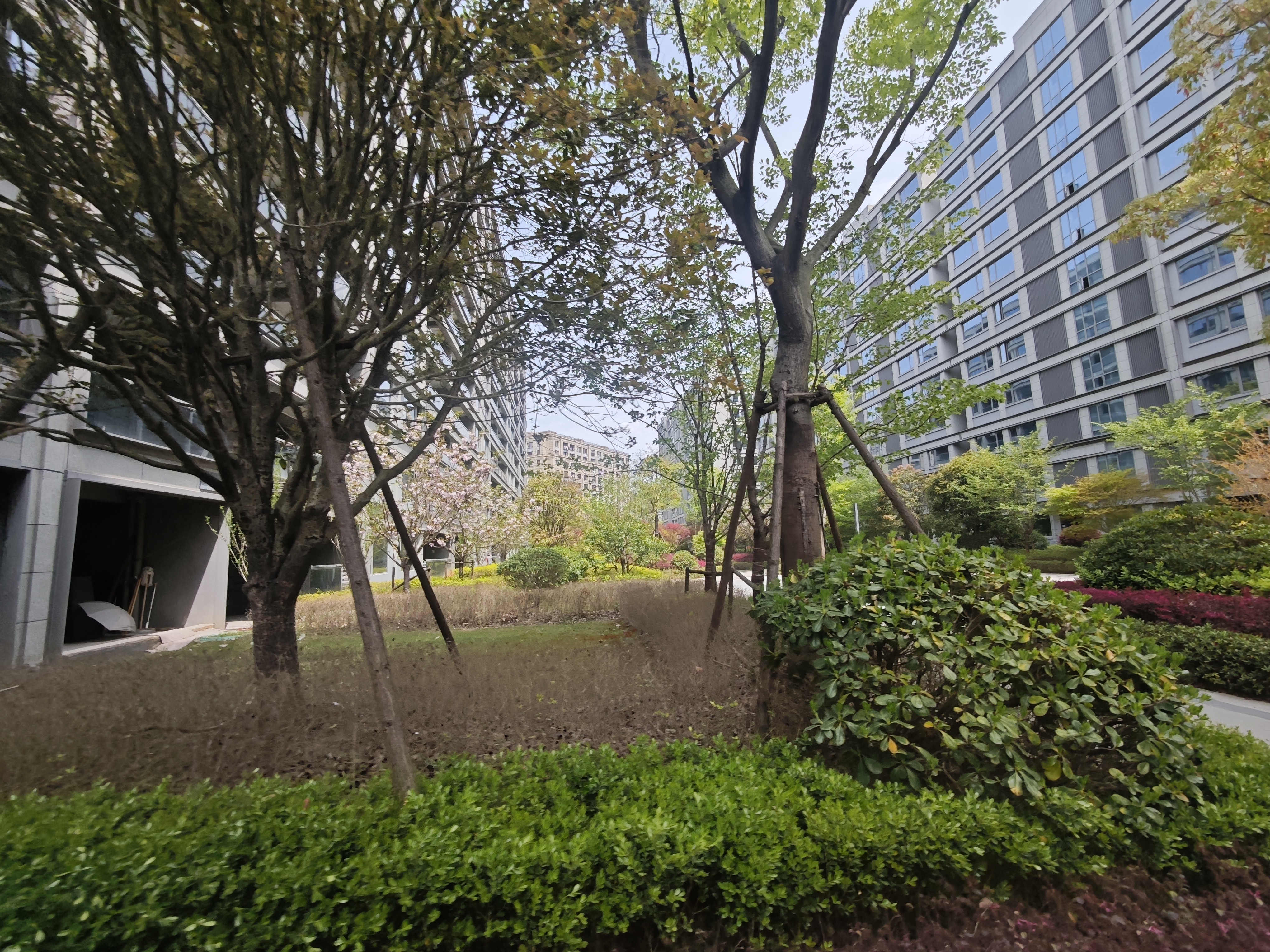 祥生云境（云境名邸）小区实景 5
