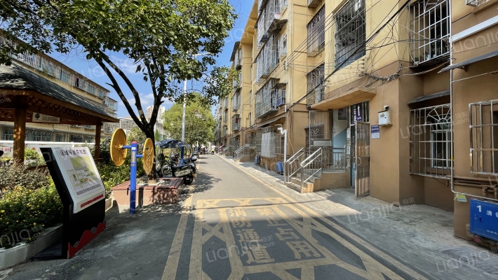 有色地勘外景图