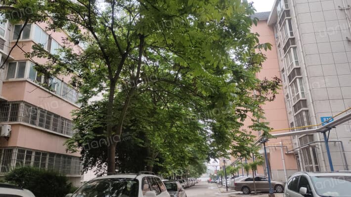 西航西苑小区外景图