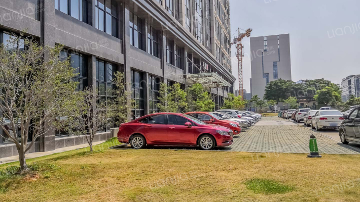 梅花光电外景图