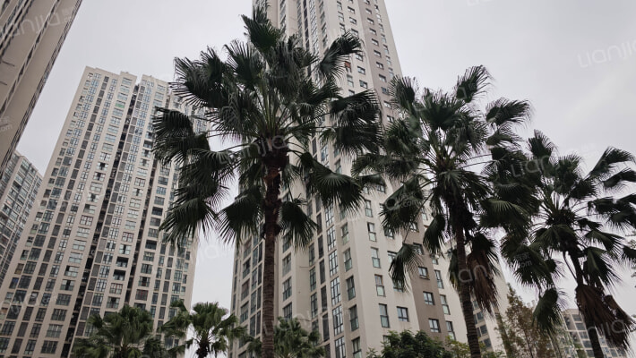 向往滨河欣城-郦城外景图