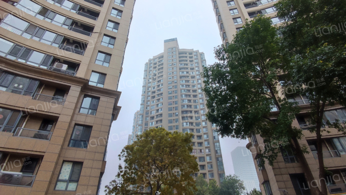 金领国际外景图