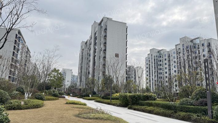 朗悦府静园外景图