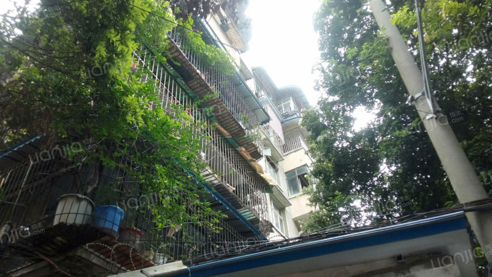 文家东巷10号外景图