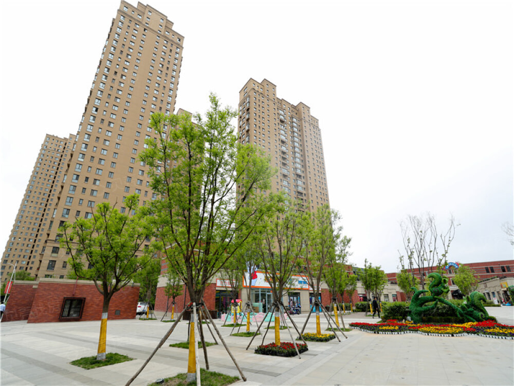 郡原小石城相册