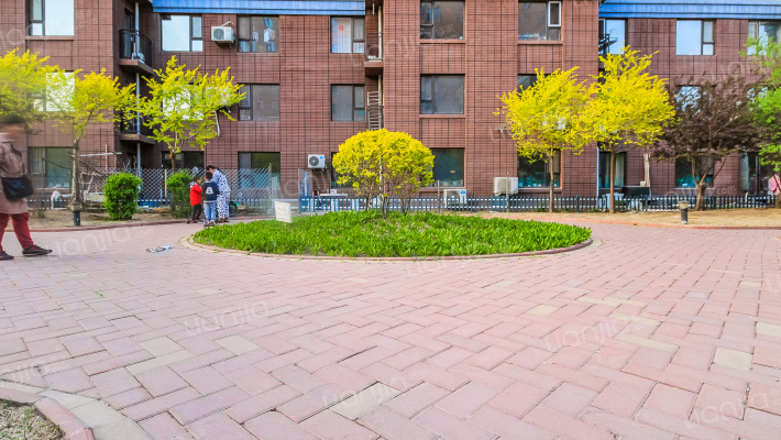 金禹阳光外景图