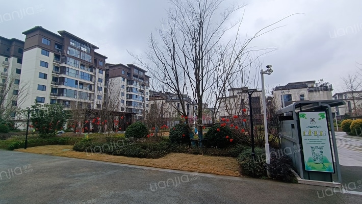 阳光紫宸府外景图