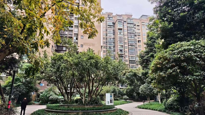 春天国际外景图