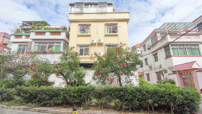 和平大街十一巷外景图