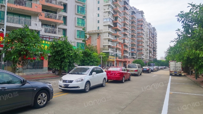 星河绿洲外景图