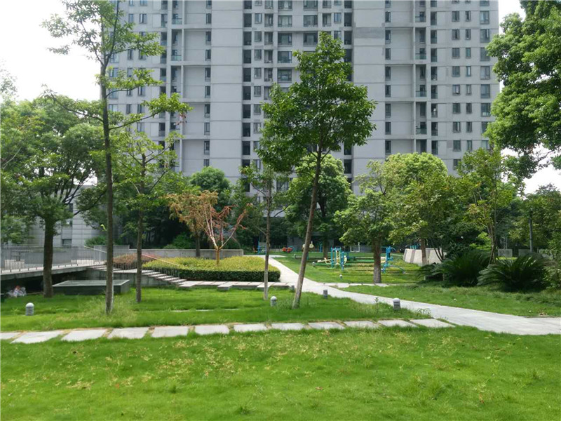银爵世纪小区实景 11