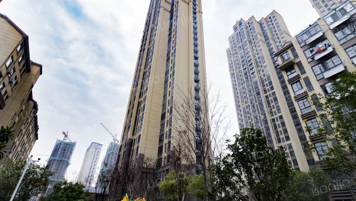 文一名门学府外景图