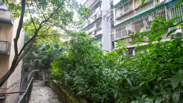 康华大厦外景图