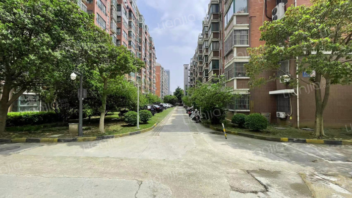 格林春天野花园外景图