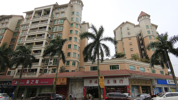 东怡新区东倩园外景图