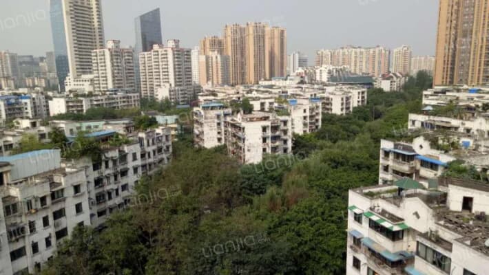 棕南西街1号外景图