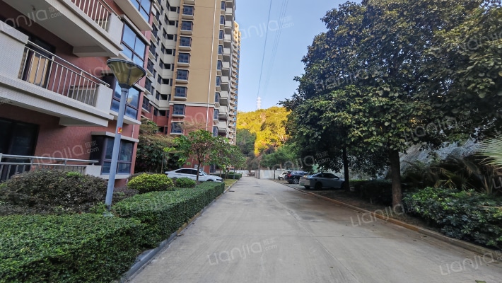 东坪安置房小区外景图