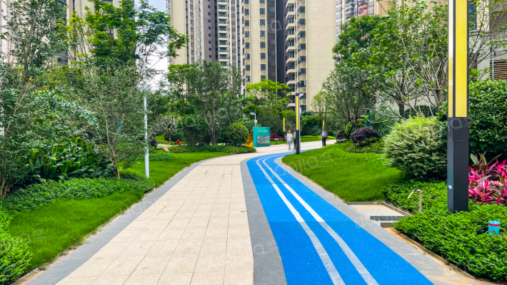 金融街金悦郡外景图