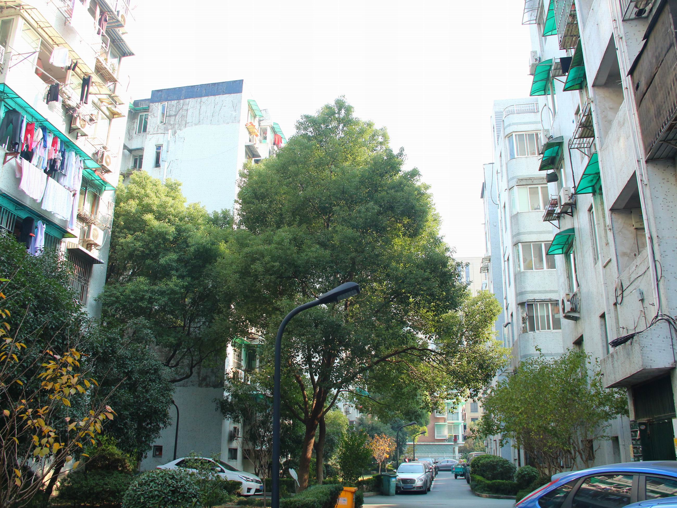 Nandu Garden compound photo 7