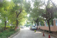 开鲁六村户型图实景图