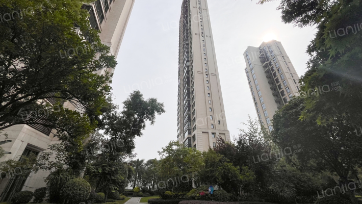 中海天钻外景图