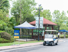 桃李春风实景图