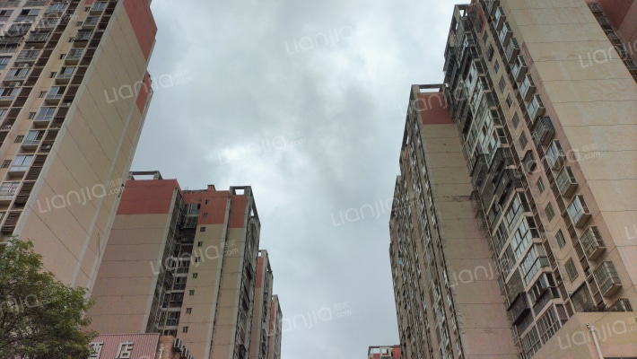 滨西绿洲外景图